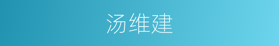 汤维建的同义词