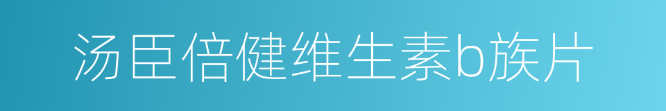 汤臣倍健维生素b族片的同义词