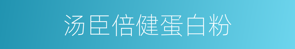 汤臣倍健蛋白粉的同义词