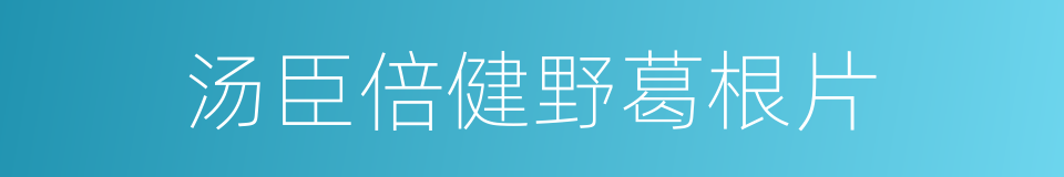 汤臣倍健野葛根片的同义词