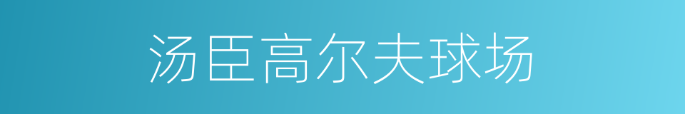 汤臣高尔夫球场的同义词