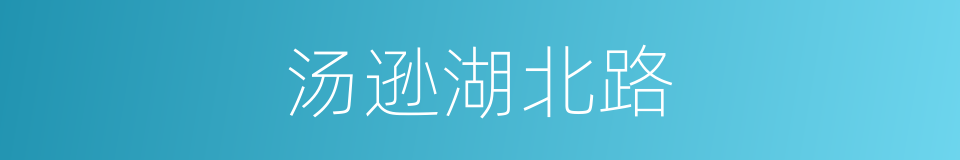 汤逊湖北路的同义词