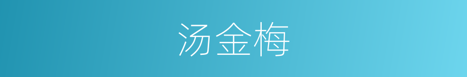 汤金梅的同义词