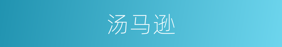 汤马逊的同义词