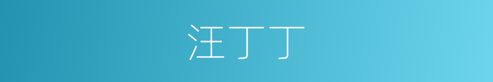 汪丁丁的同义词