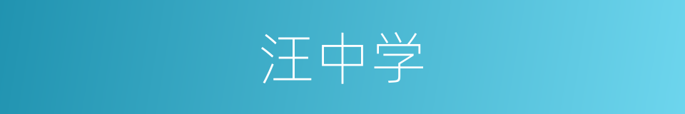 汪中学的同义词