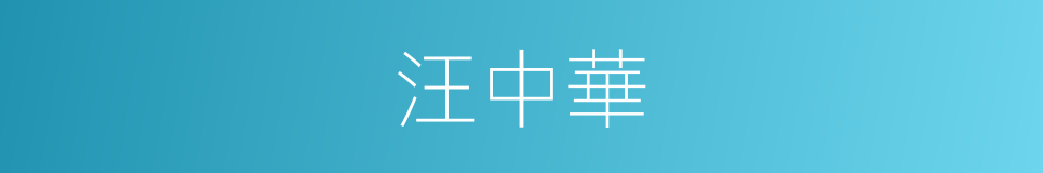 汪中華的同義詞