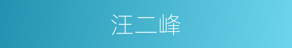 汪二峰的同义词