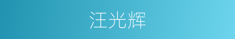 汪光辉的同义词