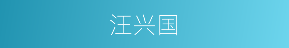 汪兴国的同义词