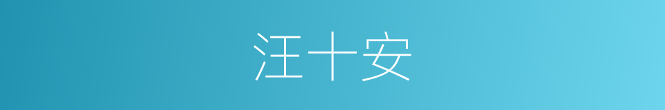 汪十安的同义词