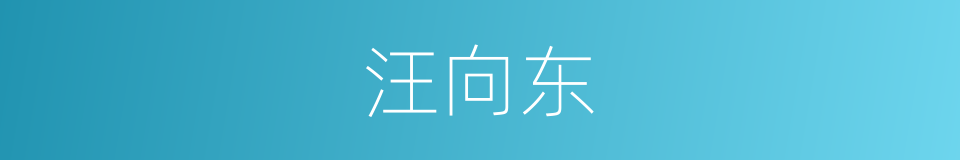 汪向东的同义词