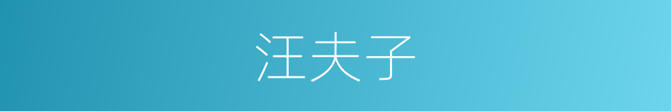 汪夫子的同义词