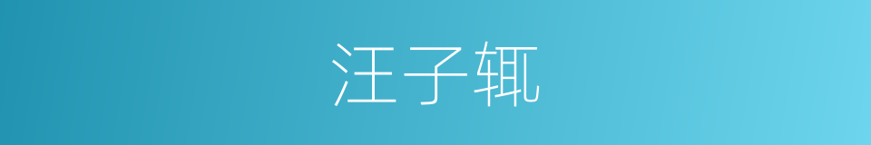 汪子辄的同义词