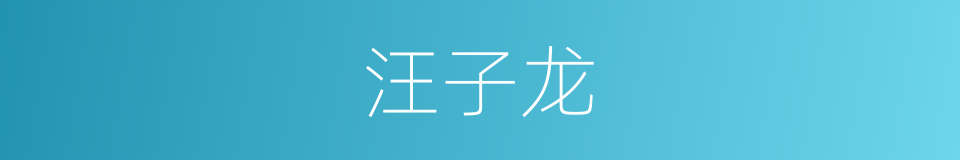 汪子龙的同义词