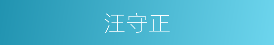 汪守正的同义词