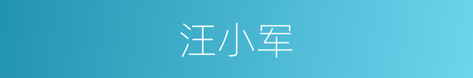 汪小军的同义词