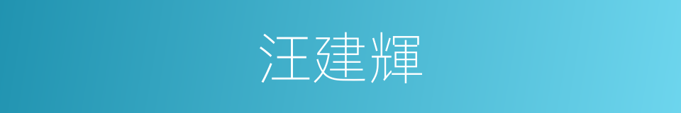 汪建輝的同義詞
