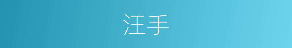 汪手的同义词