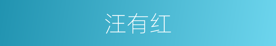 汪有红的同义词