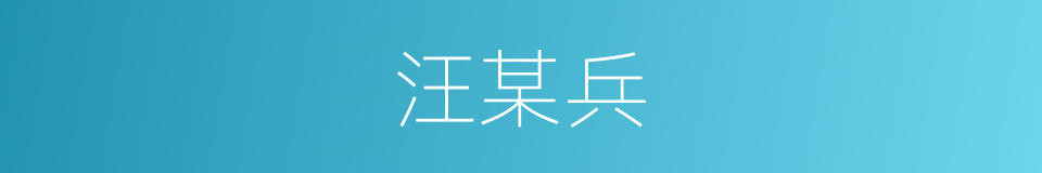 汪某兵的同义词