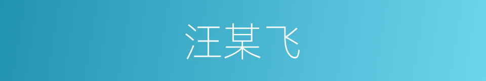汪某飞的同义词