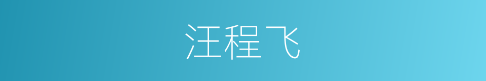 汪程飞的同义词