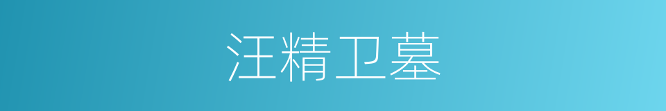 汪精卫墓的同义词