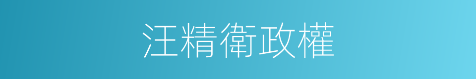 汪精衛政權的同義詞