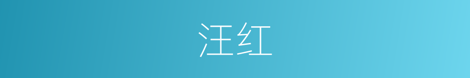 汪红的同义词