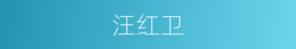 汪红卫的同义词