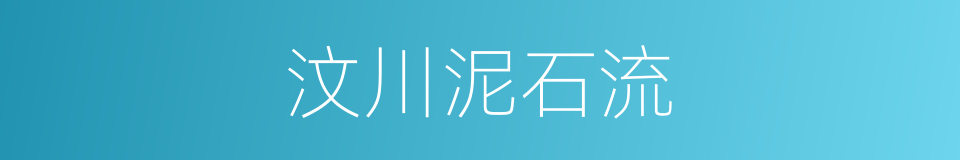 汶川泥石流的同义词