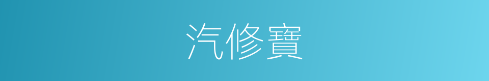 汽修寶的同義詞
