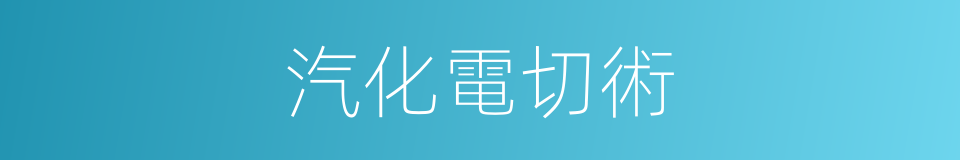 汽化電切術的同義詞