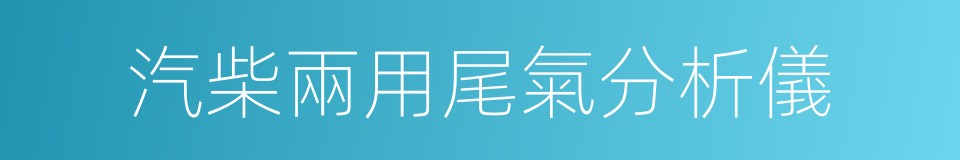 汽柴兩用尾氣分析儀的同義詞