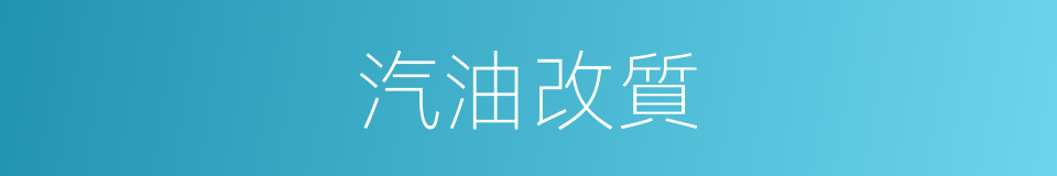 汽油改質的同義詞