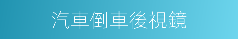 汽車倒車後視鏡的同義詞