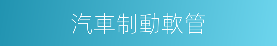 汽車制動軟管的同義詞