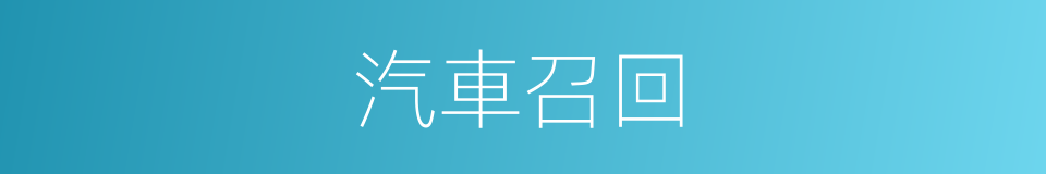 汽車召回的同義詞