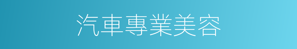 汽車專業美容的同義詞