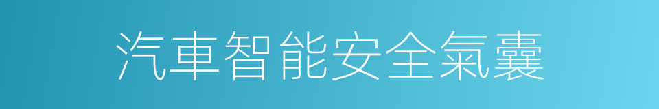 汽車智能安全氣囊的同義詞