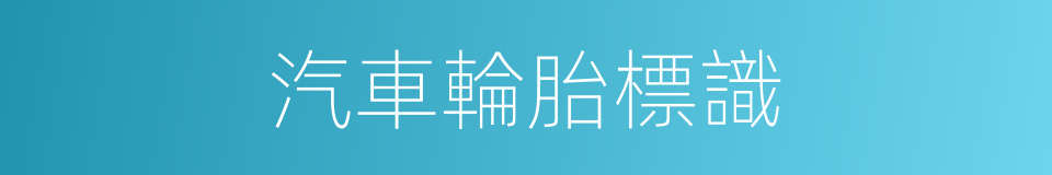 汽車輪胎標識的同義詞