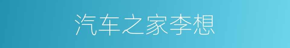 汽车之家李想的同义词