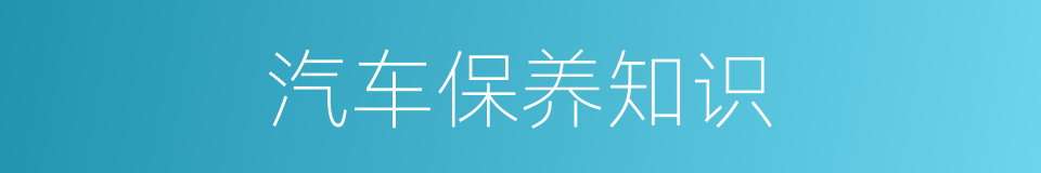 汽车保养知识的同义词