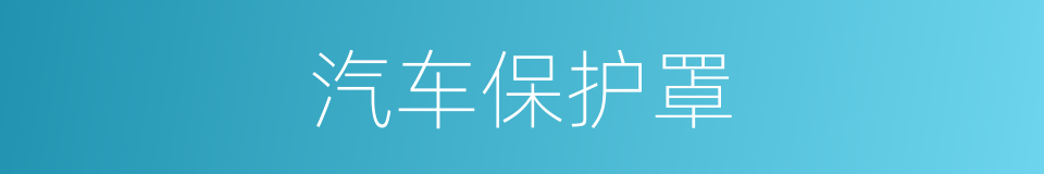汽车保护罩的同义词