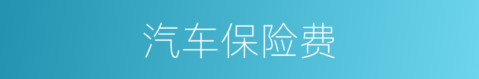 汽车保险费的同义词