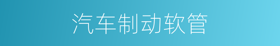 汽车制动软管的同义词