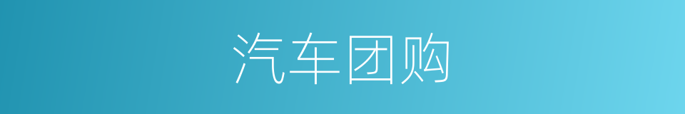 汽车团购的同义词