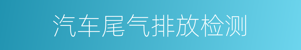 汽车尾气排放检测的同义词