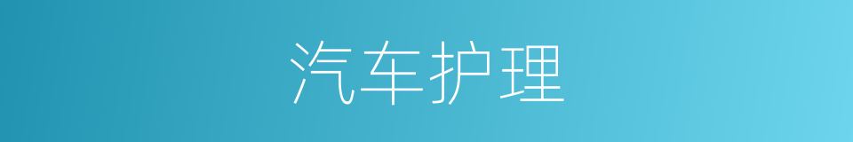 汽车护理的同义词